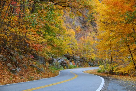 Winding Autumn road