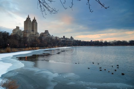 Central Park in Winter, New York City