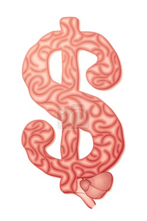 Dollar Brain