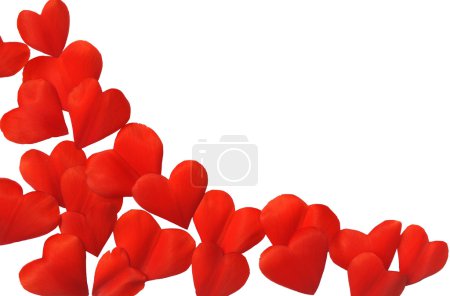 Petals in heart shape over white background - frame. Clipping path included