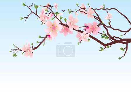 Sakura brunch spring