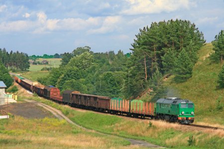 Summer landscape with the freight train