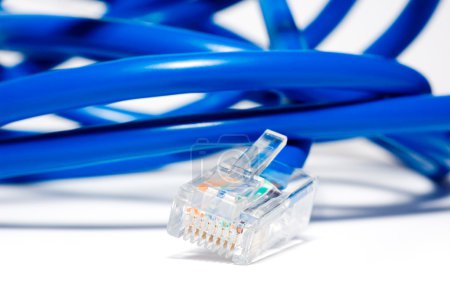 Isolated blue ethernet cable