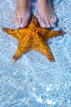 Art Beautiful female legs and starfish on the sea beach