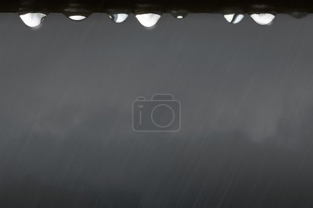  abstract Drops rain on grey background 