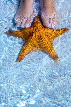 Art Beautiful female legs and starfish on the sea beach