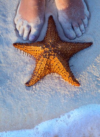 Art Beautiful female legs and starfish on the beach sand