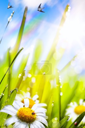 abstract sunny beautiful Spring  background 