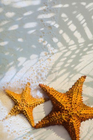 Art beautiful starfish on a beach sand with wave