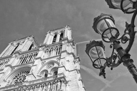 notre dame paris cathedral external view in black and white