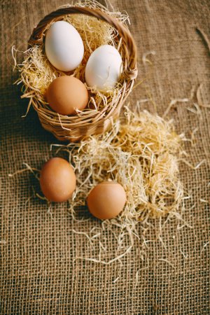 Eggs on hessian