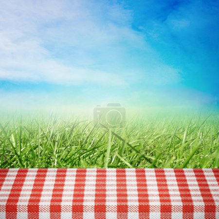 Picnic on nature