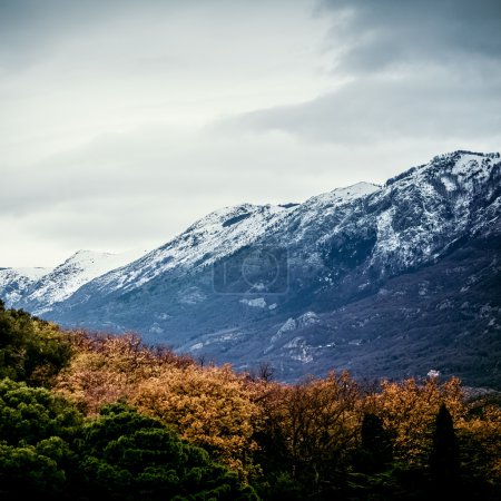 Landscapes of Montenegro