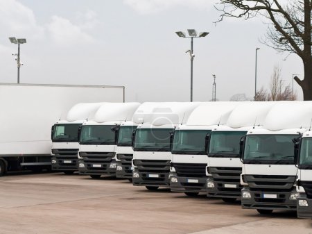 Fleet lorries