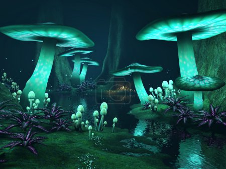 Dark forest with glowing mushrooms