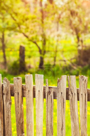 Wood fence in village