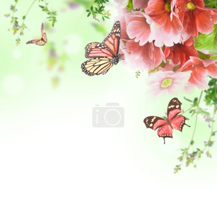 A spring primrose is in a bouquet, floral background and butterfly