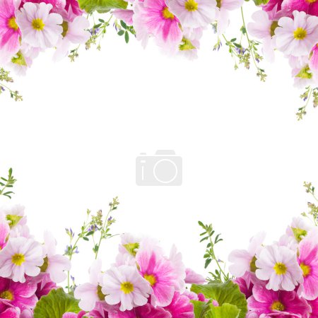 A spring primrose is in a bouquet, floral background