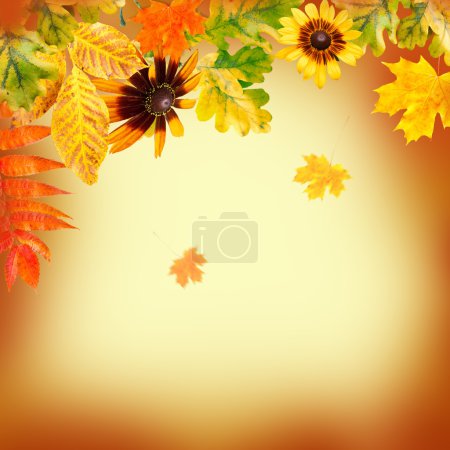 Autumn leaves on a yellow background