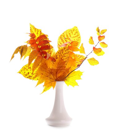 Autumn leaves on a yellow background