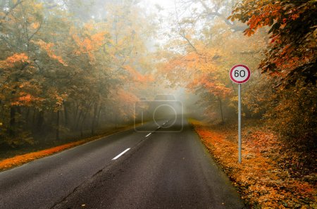 A curving autumn road