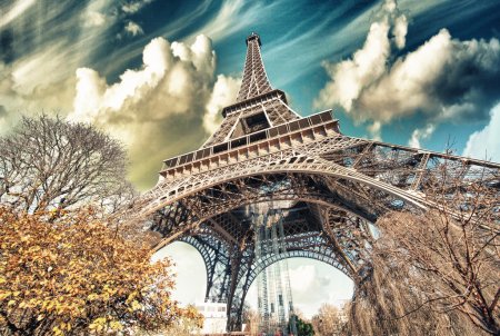 Wonderful street view of Eiffel Tower and Winter Vegetation - Paris