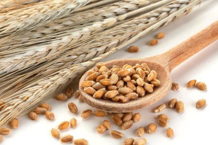 Wheat in a wooden spoon