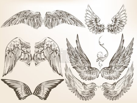 Collection of vector hand drawn wings for design