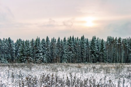 Sunset in winter field 