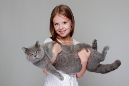 Girl played with a British cat