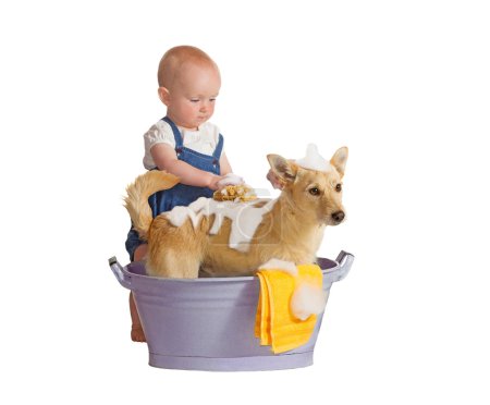 Baby washing dog