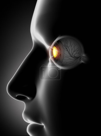 Male face with human eye antomy