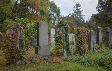 Old jewish cemetery