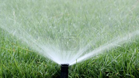 Garden Irrigation Sprinkler watering lawn