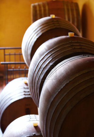 barrels in a wine cellar