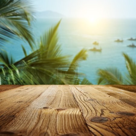 wood textured backgrounds on the Goa landscape