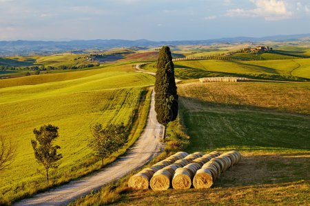 Italy Tuscan landscape