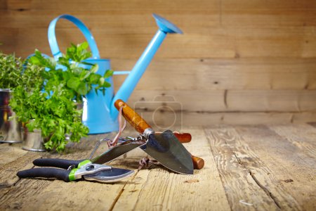 gardening tools 