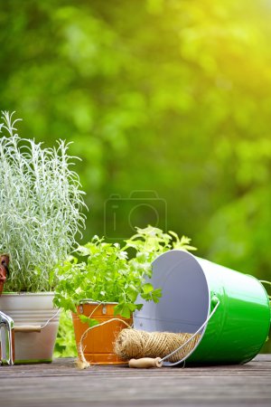 concept of gardening and hobby