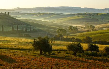 Countryside, San Quirico d Orcia , Tuscany, Italy