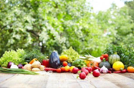 Fresh organic vegetables and fruits