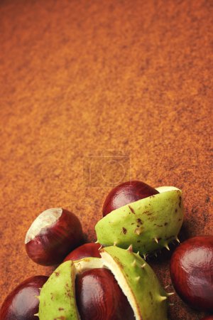 Groups of chestnut nuts on white close up . brown background