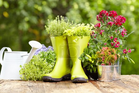Outdoor gardening tools and flowers 