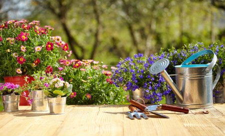 Outdoor gardening tools