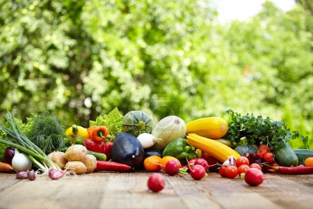 Fresh organic vegetables and fruits