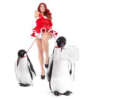 Fashion woman with penguin