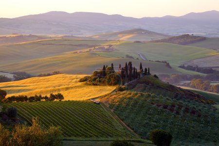 Countryside, San Quirico d Orcia , Tuscany, Italy