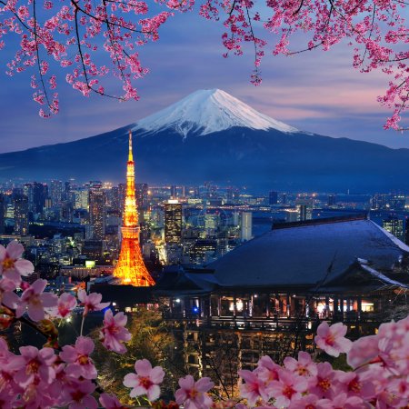 Various travel destination in Japan