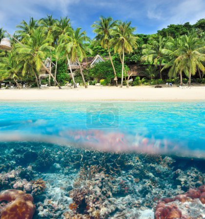 Beach with coral reef underwater view