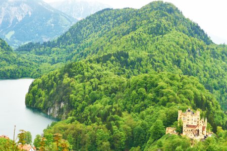 Landscape with castle of Hohenschwangau in Germany